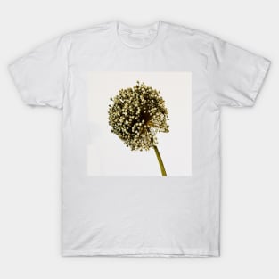 Blossom flower of garlic T-Shirt